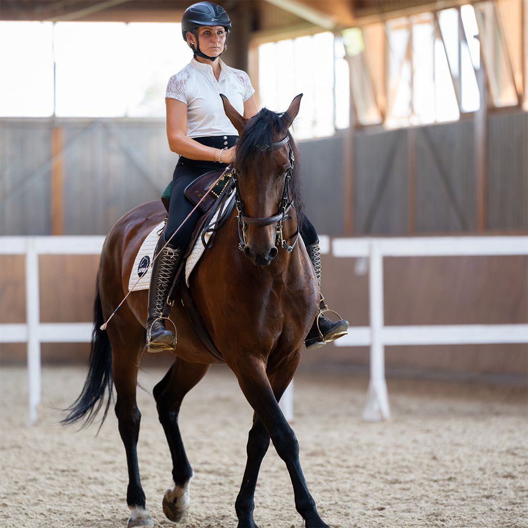 Reiten in Passion - Oliveira Stables, Foto von P.Pichler