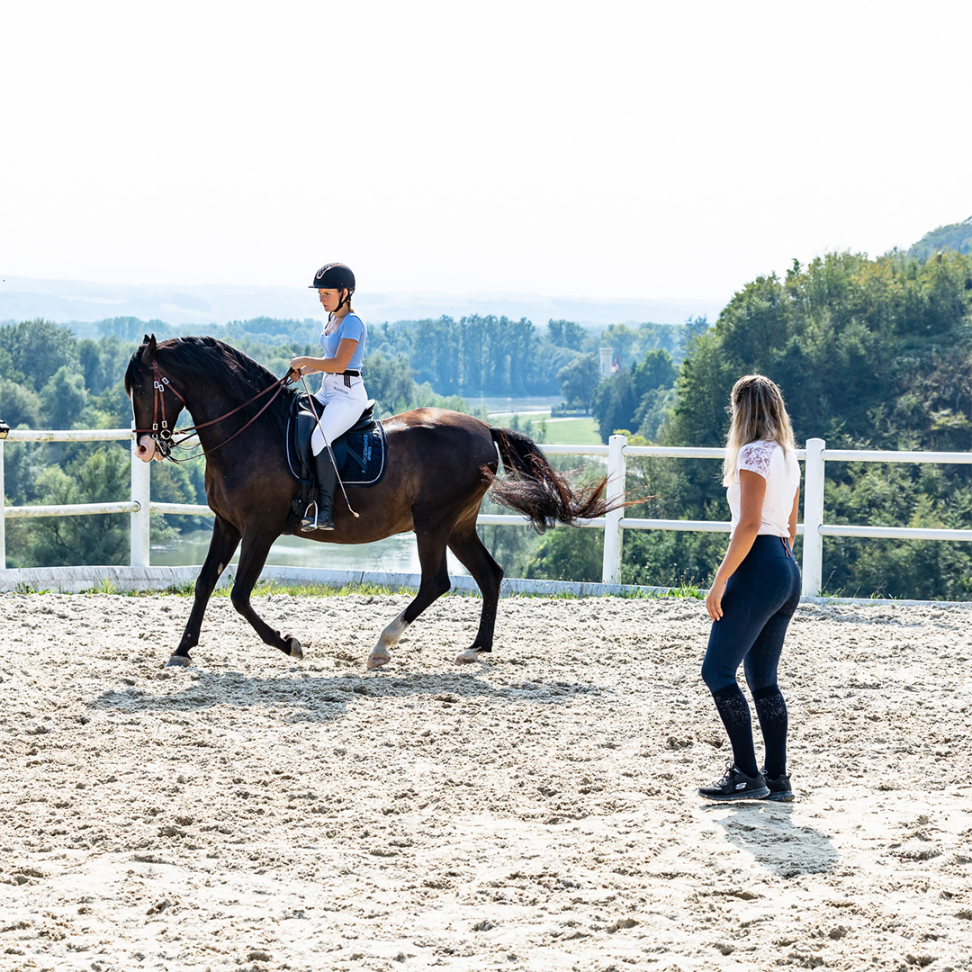 Reiten in Passion - vertikaler Reitunterricht