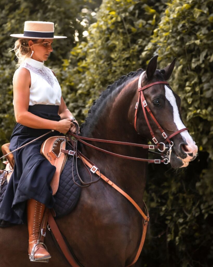 Sabrina Radl-Mica - Reiten in Passion, Reitkunst vertikal; Foto von Viktoria Kierner