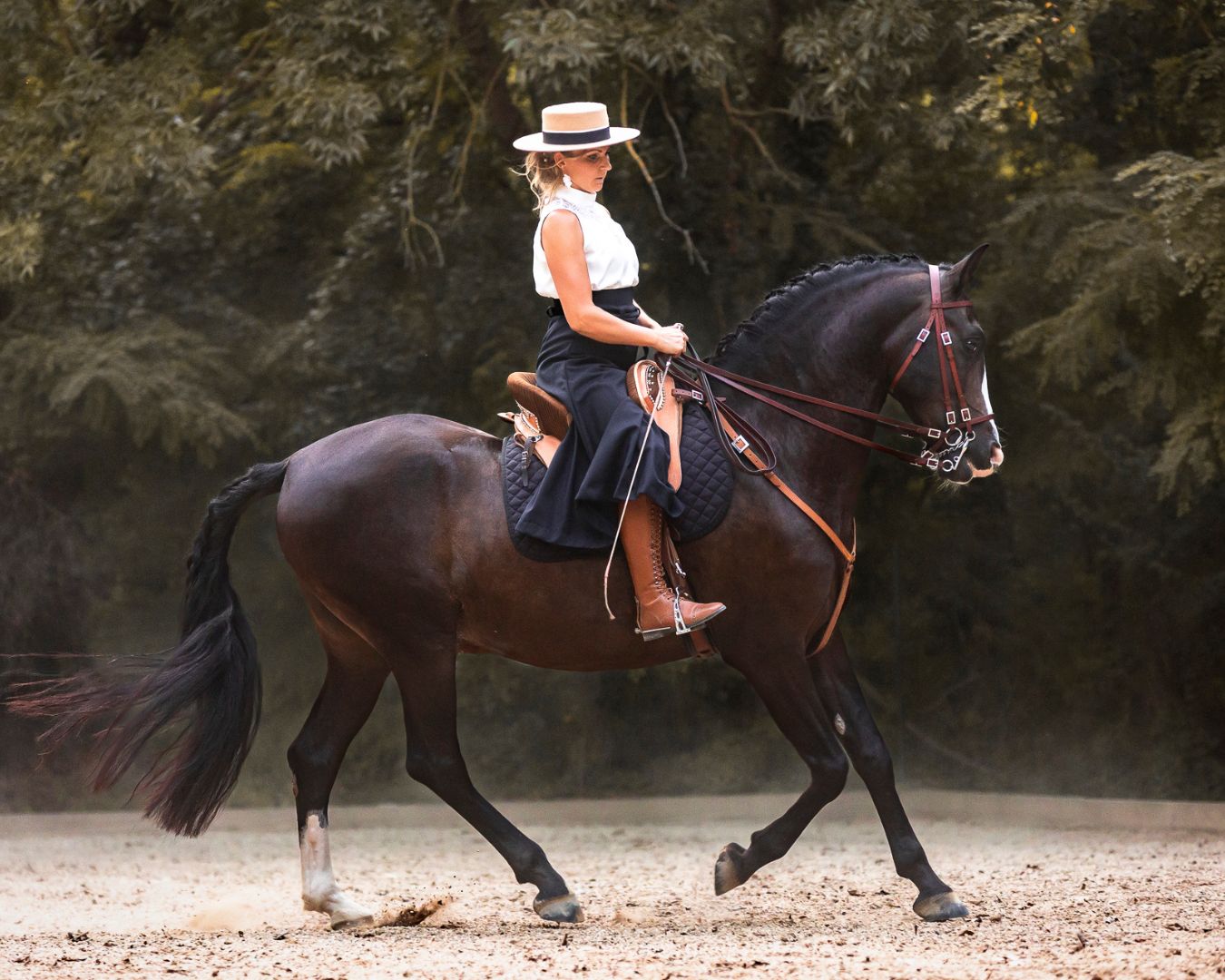 Sabrina Radl-Mica - Reiten in Passion, Reitkunst mit Leidenschaft; Foto von Viktoria Kierner