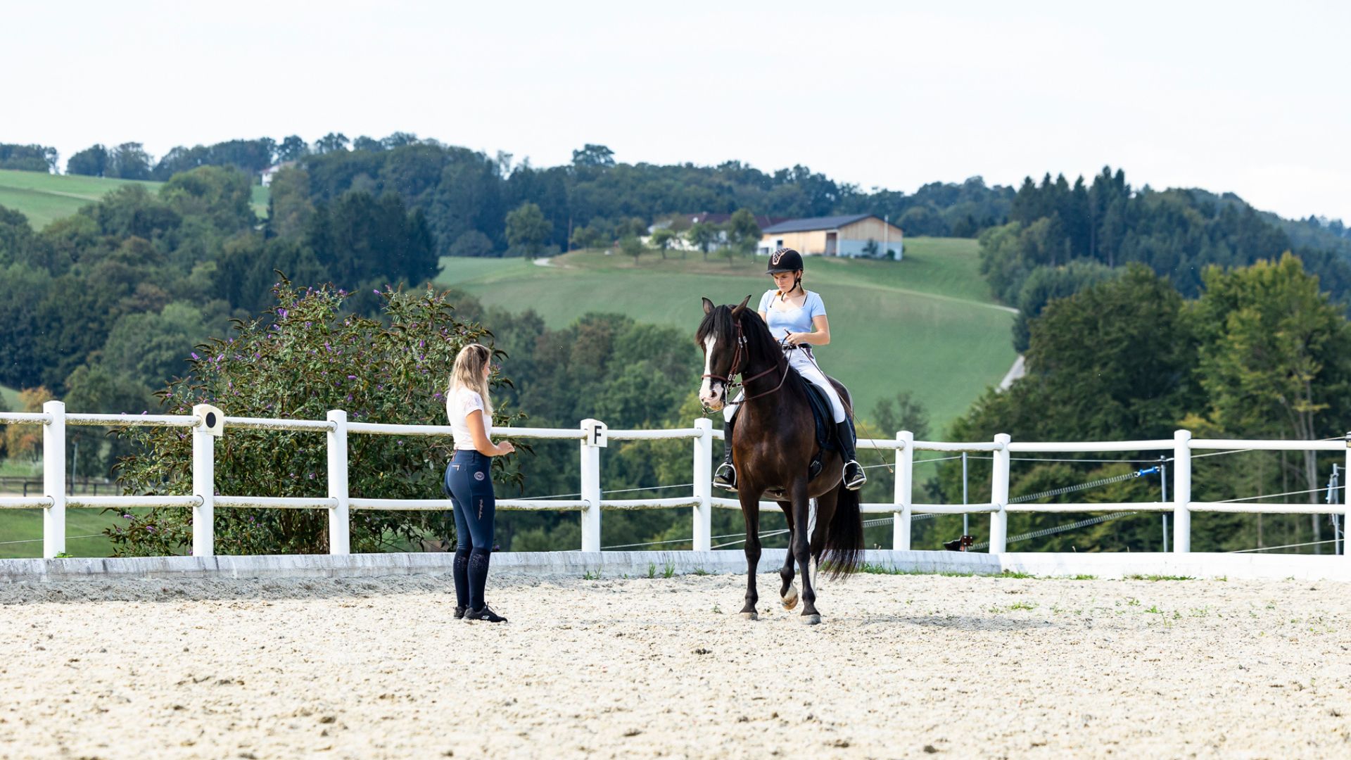 Reiten in Passion - Sabrina Radl-Mica, Reitunterricht in Österreich, Foto: Viktoria Kierner