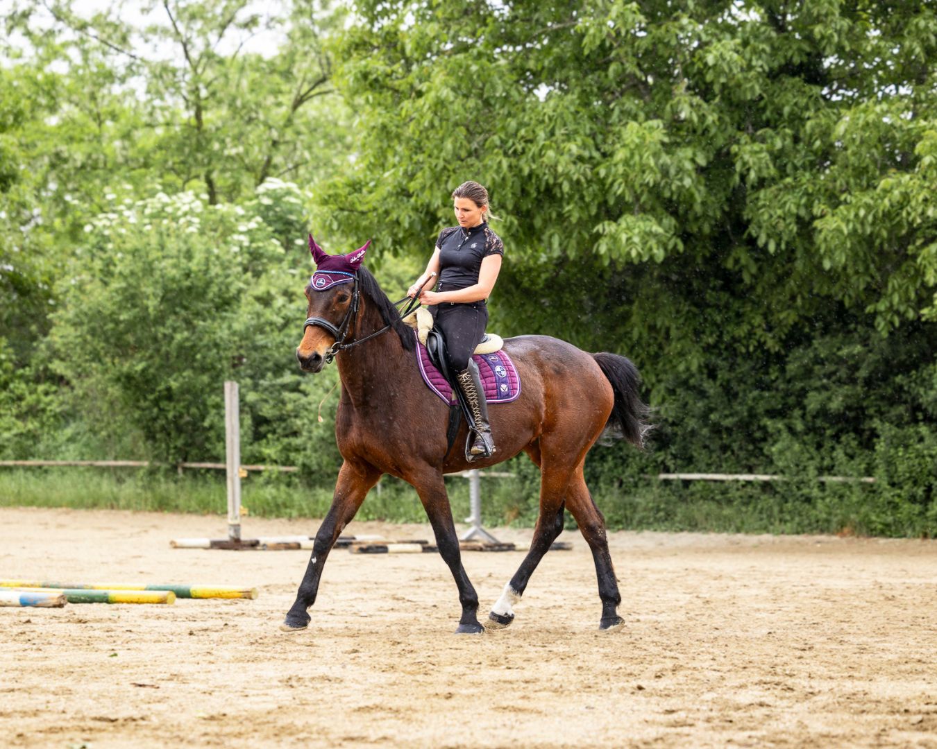 Reiten in Passion - Sabrina Radl-Mica, Reitunterricht in Österreich; Foto: Viktoria Kierner