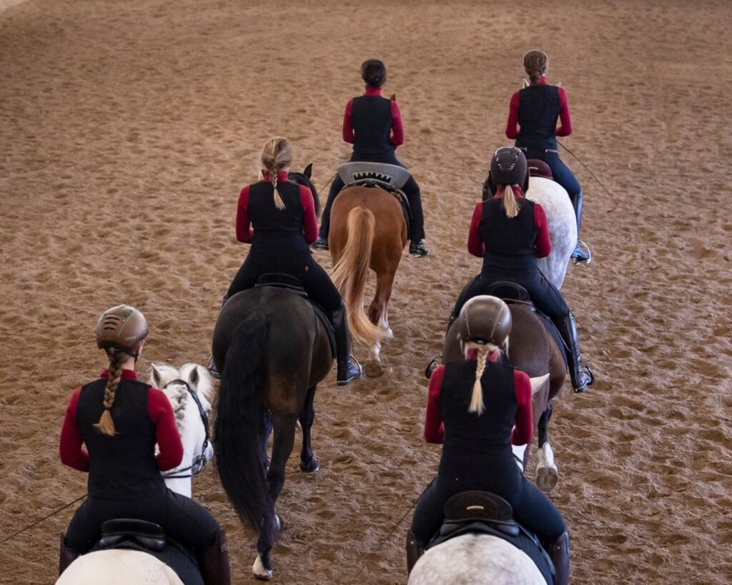 Reiten in Passion - Sabrina Radl-Mica, Reitkunst Ensemble Österreich, Training; Foto: Viktoria Kierner