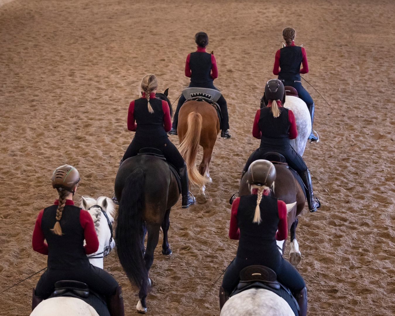 Reiten in Passion - Sabrina Radl-Mica, Reitkunst Ensemble Österreich, Training; Foto: Viktoria Kierner