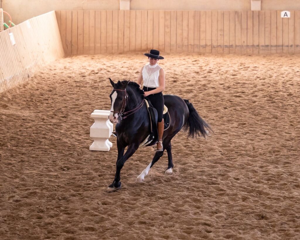Reiten in Passion - Sabrina Radl-Mica, Reitkunst Ensemble Österreich, Training; Foto: Viktoria Kierner