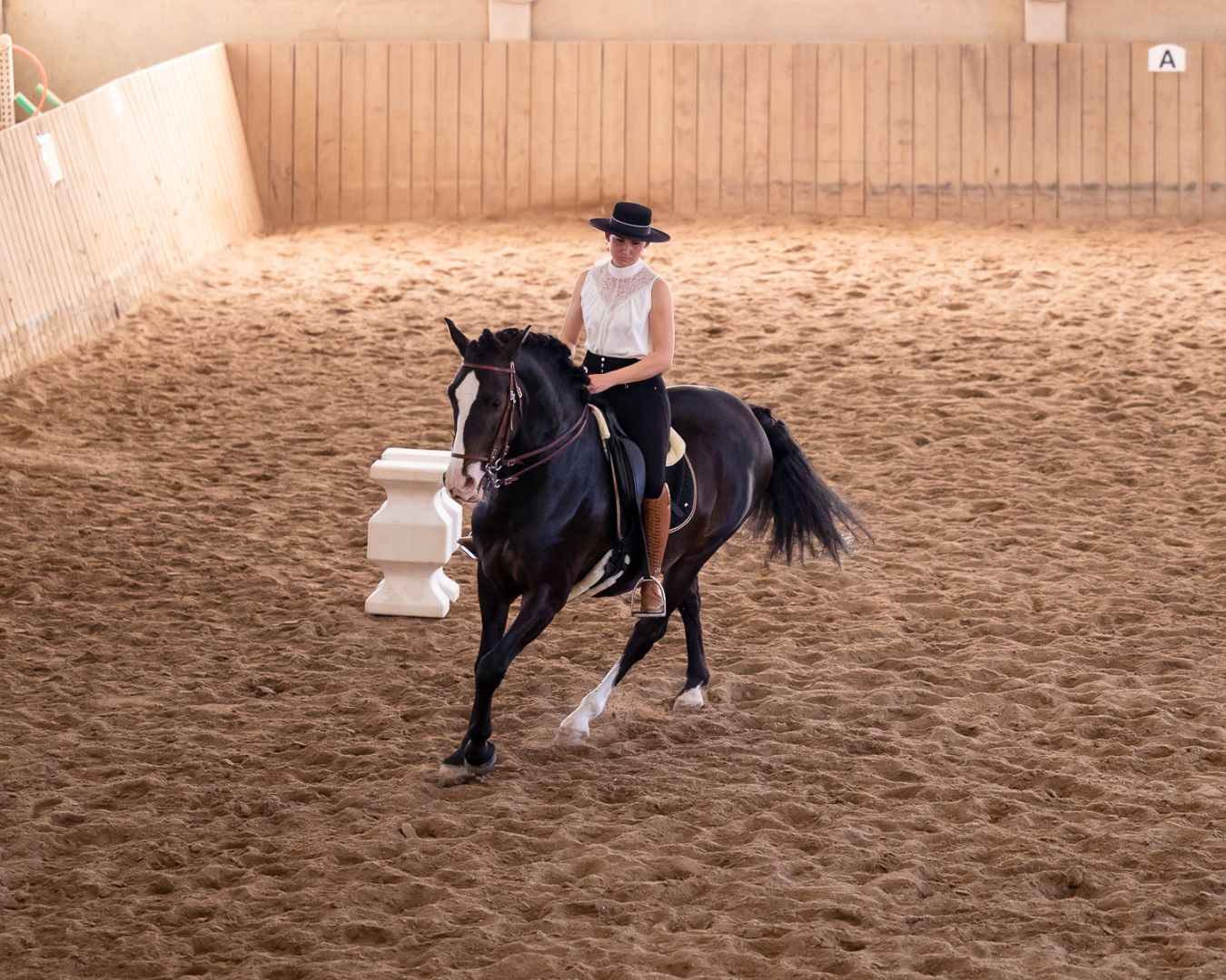 Reiten in Passion - Sabrina Radl-Mica, Reitkunst Ensemble Österreich, Training; Foto: Viktoria Kierner