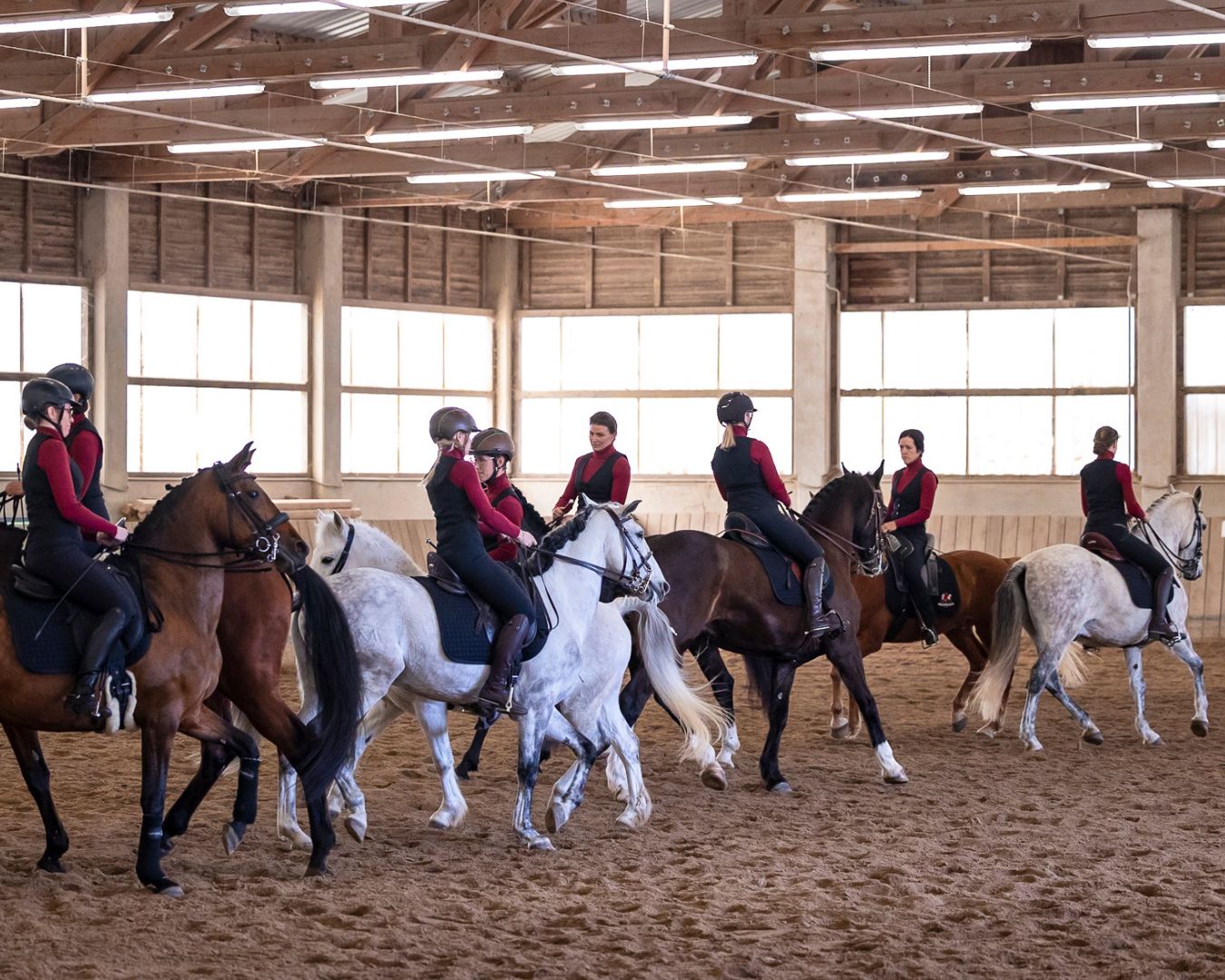 Reiten in Passion - Sabrina Radl-Mica, Reitkunst Ensemble Österreich, Training; Foto: Viktoria Kierner