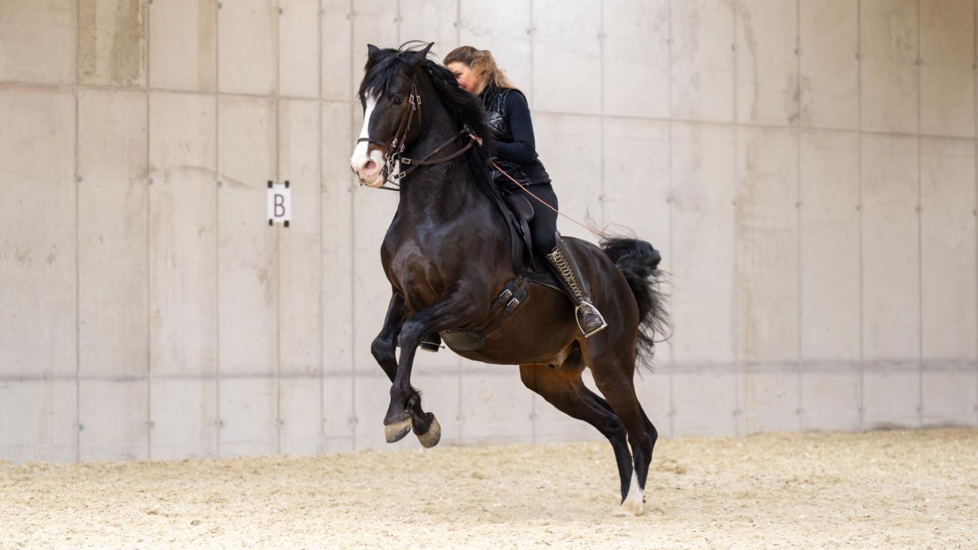 Reiten in Passion - Sabrina Radl-Mica, Reitunterricht in Österreich, Foto: P. Pichler