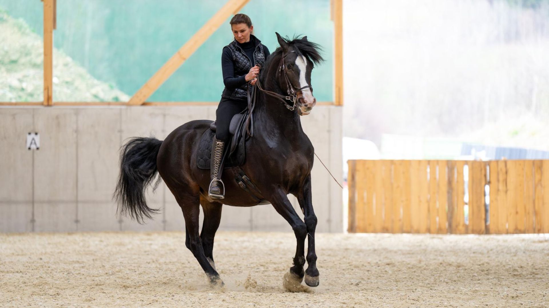 Reiten in Passion - Sabrina Radl-Mica, Reitunterricht in Österreich, Foto: P. Pichler